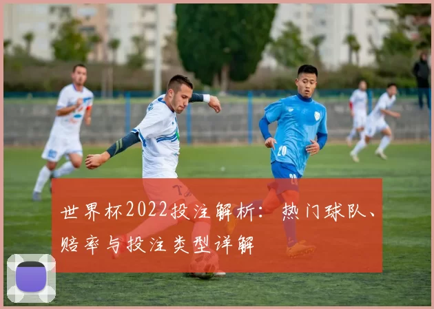 世界杯2022投注解析：热门球队、赔率与投注类型详解