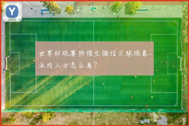 世界杯观赛热催生微信买球现象，业内人士怎么看？