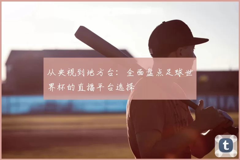 从央视到地方台:全面盘点足球世界杯的直播平台选择