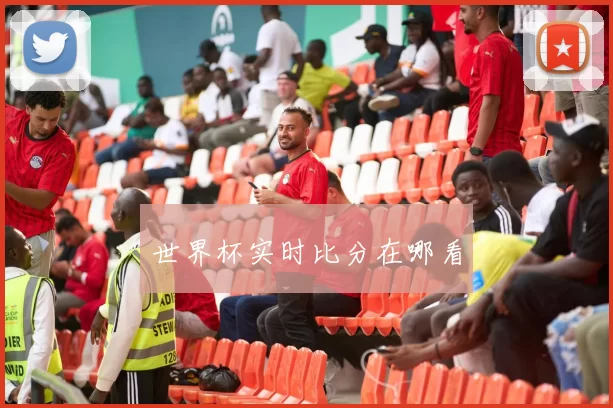 世界杯实时比分在哪看
