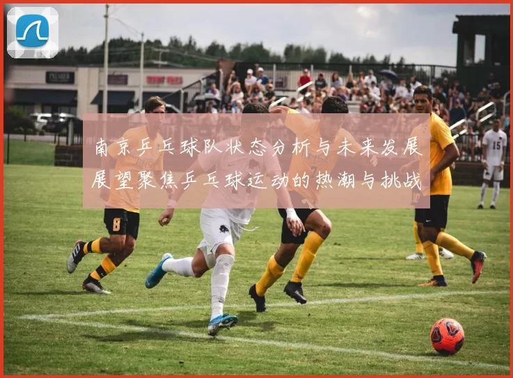 南京乒乓球队状态分析与未来发展展望聚焦乒乓球运动的热潮与挑战