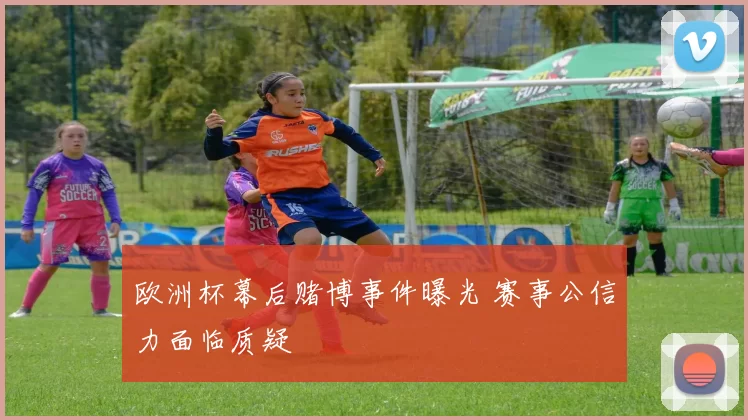 欧洲杯幕后赌博事件曝光 赛事公信力面临质疑