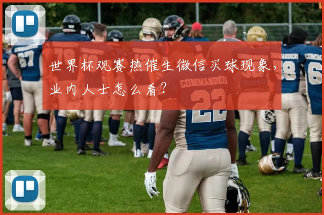 世界杯观赛热催生微信买球现象，业内人士怎么看？
