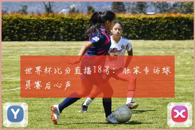 世界杯比分直播18号:独家专访球员赛后心声