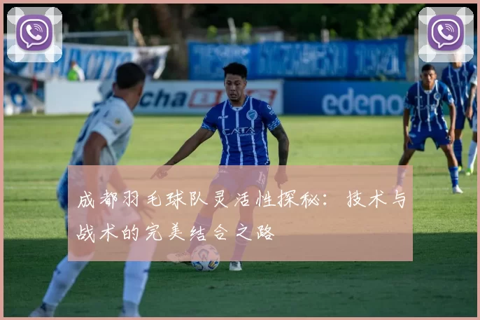 成都羽毛球队灵活性探秘:技术与战术的完美结合之路