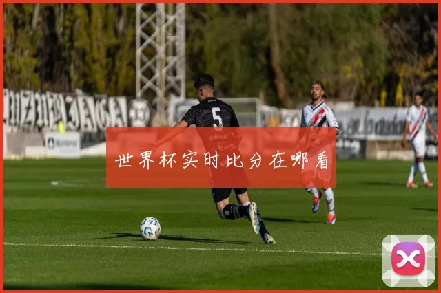 世界杯实时比分在哪看