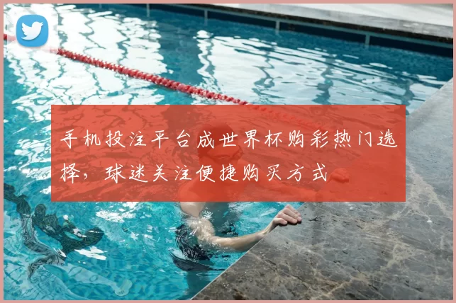 手机投注平台成世界杯购彩热门选择，球迷关注便捷购买方式