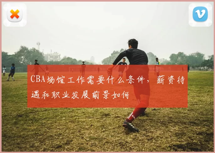 CBA场馆工作需要什么条件，薪资待遇和职业发展前景如何